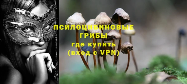 PSILOCYBIN Дмитриев